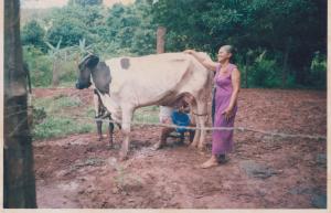 Na fazenda